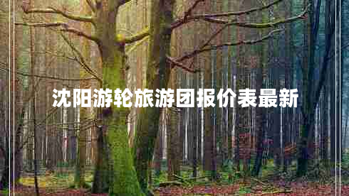 沈陽游輪旅游團(tuán)報(bào)價(jià)表最新