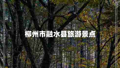 柳州市融水縣旅游景點(diǎn)