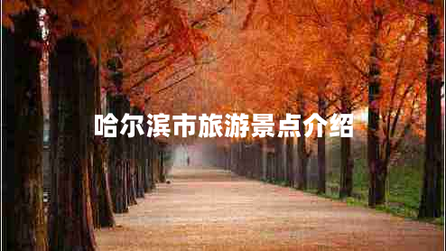 哈爾濱市旅游景點介紹