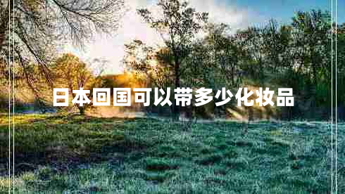 日本回國(guó)可以帶多少化妝品