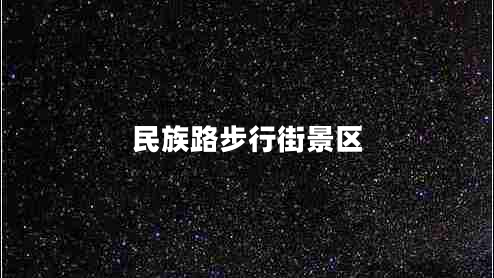 民族路步行街景區(qū)