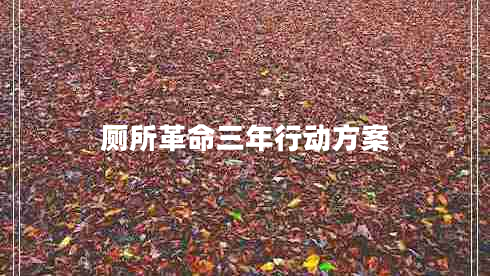 廁所革命三年行動(dòng)方案