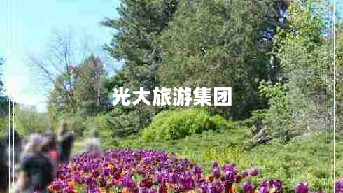 光大旅游集團(tuán) 光大旅游集團(tuán)