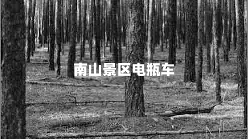 南山景區(qū)電瓶車 南山景區(qū)電瓶車