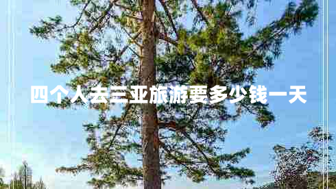 四個(gè)人去三亞旅游要多少錢一天