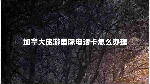 加拿大旅游國際電話卡怎么辦理 加拿大旅游國際電話卡怎么辦理