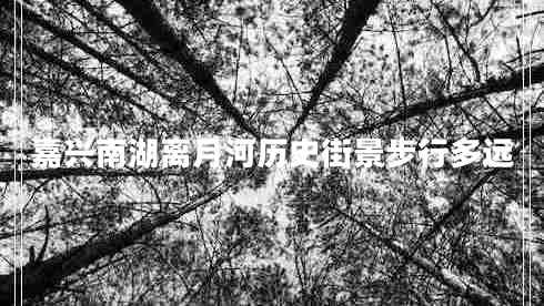 嘉興南湖離月河歷史街景步行多遠(yuǎn) 嘉興南湖離月河歷史街景步行多遠(yuǎn)