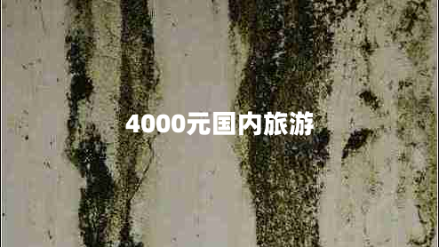 4000元國(guó)內(nèi)旅游