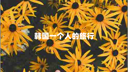 韓國(guó)一個(gè)人的旅行 韓國(guó)一個(gè)人的旅行