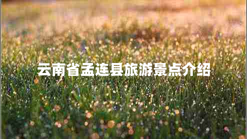 云南省孟連縣旅游景點介紹