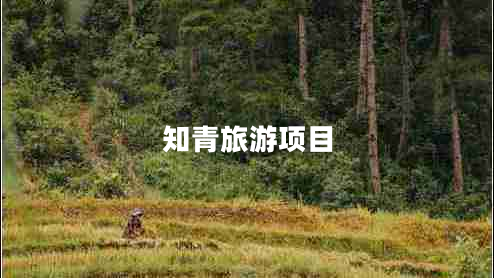 知青旅游項(xiàng)目