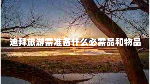 迪拜旅游需準(zhǔn)備什么必需品和物品 迪拜旅游需準(zhǔn)備什么必需品和物品
