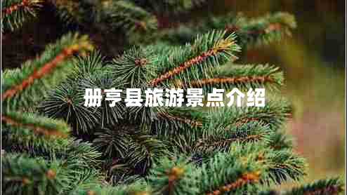 冊亨縣旅游景點介紹