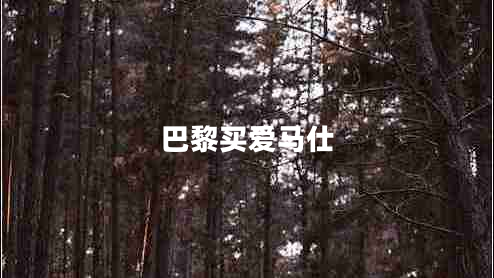 巴黎買愛(ài)馬仕