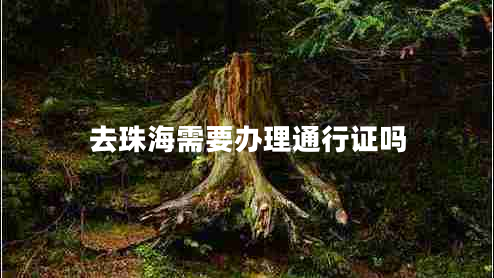 去珠海需要辦理通行證嗎