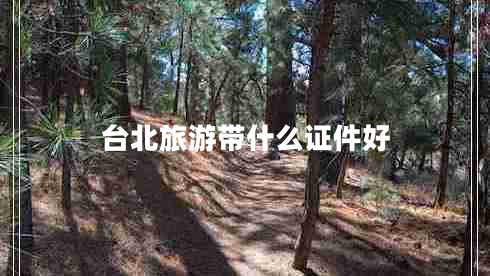 臺(tái)北旅游帶什么證件好