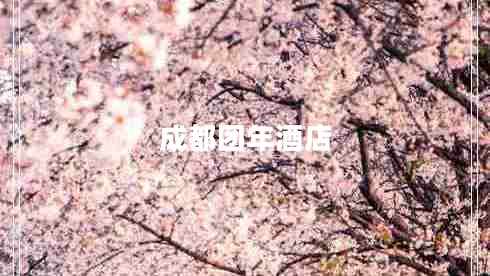 成都團(tuán)年酒店