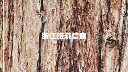 浙江旅游信息