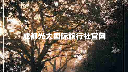 成都光大國際旅行社官網(wǎng)