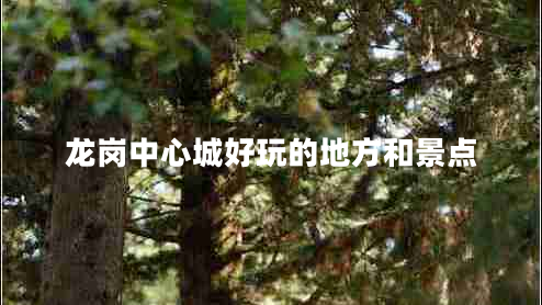 龍崗中心城好玩的地方和景點