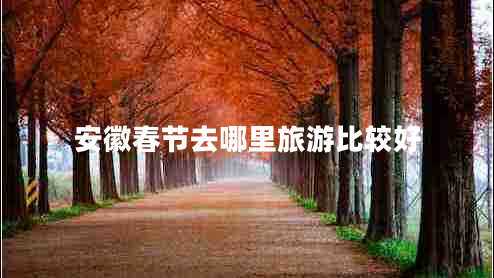 安徽春節(jié)去哪里旅游比較好