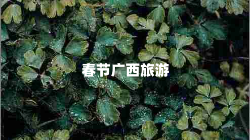 春節(jié)廣西旅游