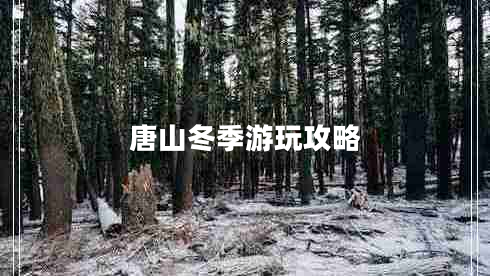 唐山冬季游玩攻略