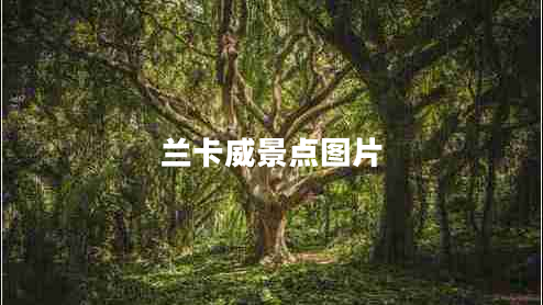蘭卡威景點(diǎn)圖片