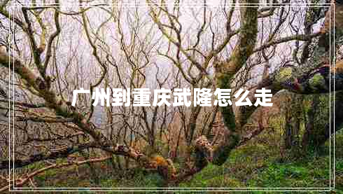 廣州到重慶武隆怎么走 廣州到重慶武隆怎么走