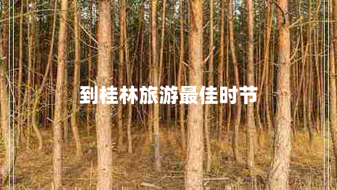 到桂林旅游最佳時節(jié)