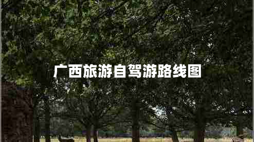 廣西旅游自駕游路線圖