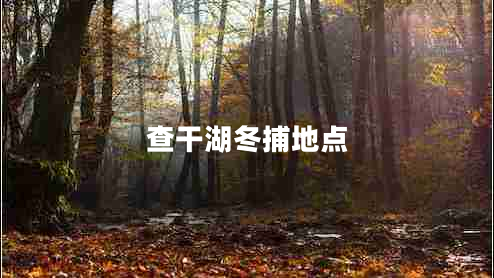 查干湖冬捕地點