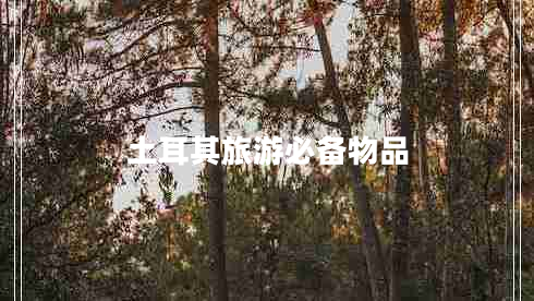 土耳其旅游必備物品