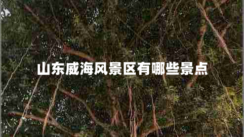 山東威海風(fēng)景區(qū)有哪些景點