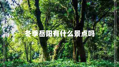 冬季岳陽有什么景點(diǎn)嗎