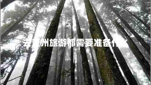 去貴州旅游都需要準備什么 去貴州旅游都需要準備什么