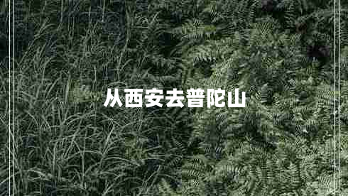 從西安去普陀山 從西安去普陀山