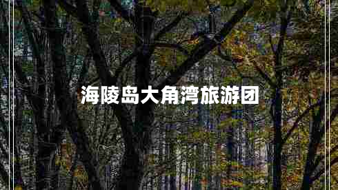 海陵島大角灣旅游團(tuán)