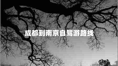 成都到南京自駕游路線(xiàn)