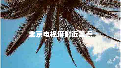 北京電視塔附近景點