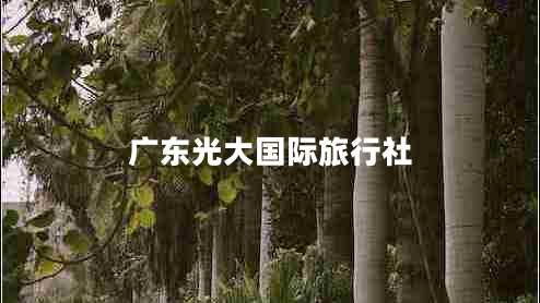 廣東光大國(guó)際旅行社