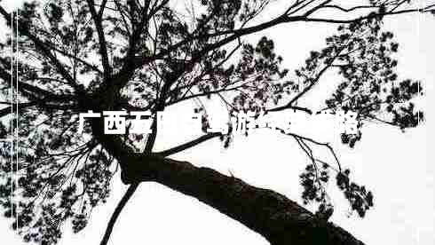 廣西五日自駕游經(jīng)典線路