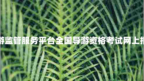全國旅游監(jiān)管服務平臺全國導游資格考試網(wǎng)上報名系統(tǒng)