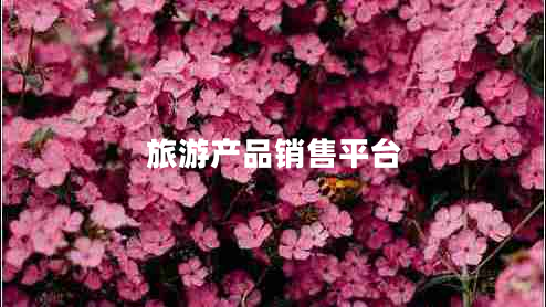 旅游產(chǎn)品銷售平臺(tái)