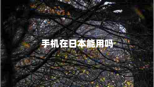 手機(jī)在日本能用嗎 手機(jī)在日本能用嗎