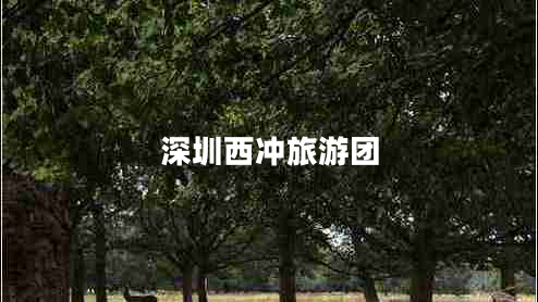 深圳西沖旅游團(tuán)
