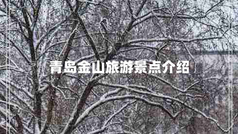 青島金山旅游景點(diǎn)介紹