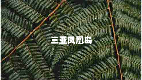三亞鳳凰島 三亞鳳凰島