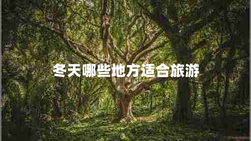 冬天哪些地方適合旅游 冬天哪些地方適合旅游
