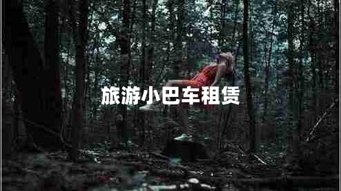 旅游小巴車租賃 旅游小巴車租賃